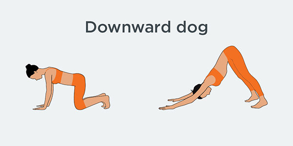 Downward dog